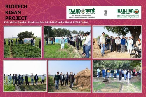 FAARD FOUNDATION 2_Page_002