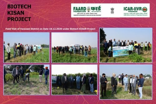 FAARD FOUNDATION 3_Page_001