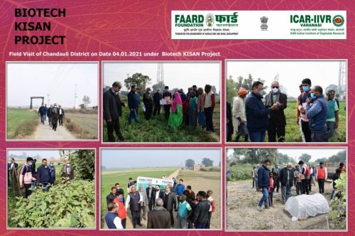 FAARD FOUNDATION 3_Page_003