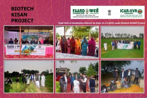 FAARD FOUNDATION S_Page_002