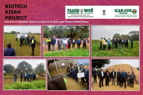 FAARD FOUNDATION S_Page_002 - Copy
