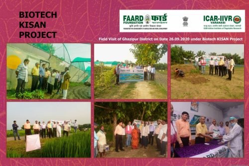 FAARD FOUNDATION g_Page_002