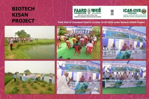 FAARD FOUNDATION1_Page_002