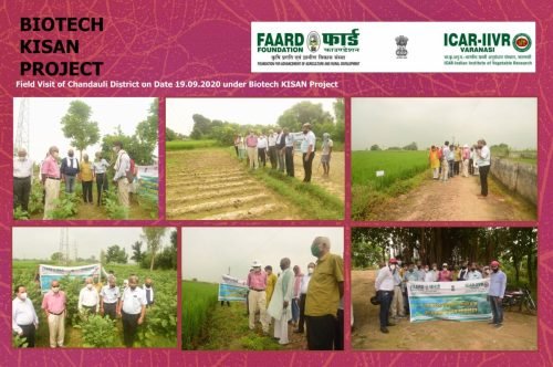 FAARD FOUNDATION1_Page_002 - Copy