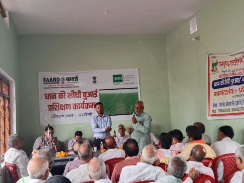 WhatsApp Image 2026-07-28 at 1.17.40 PM